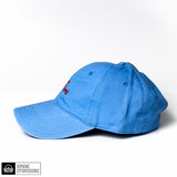 Topo Turnt Embroidered Dad Hat in baby blue